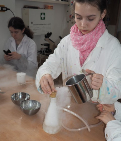 P1010046 (Small).JPG